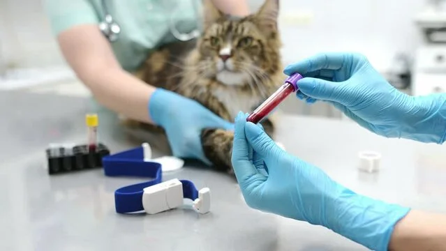 Reference Laboratory Testing