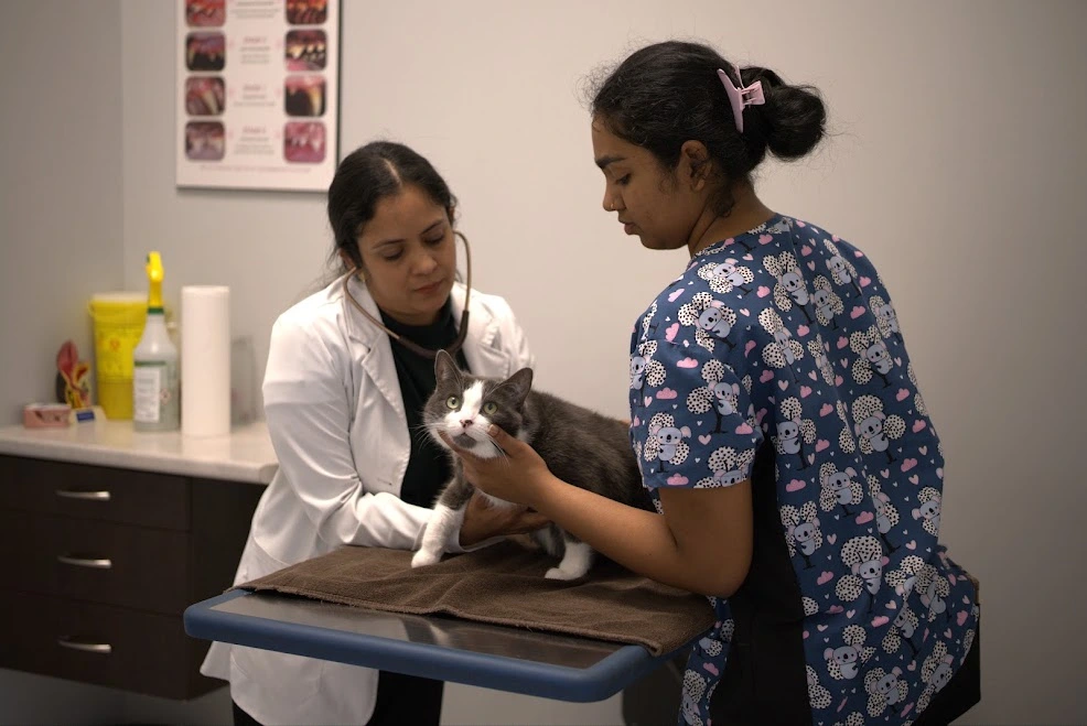 Emergency & Urgent Care